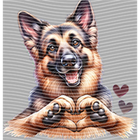 Valentine's Day-QRJ  4696